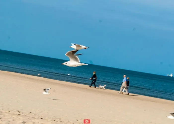 Apartment Park Trzęsacz